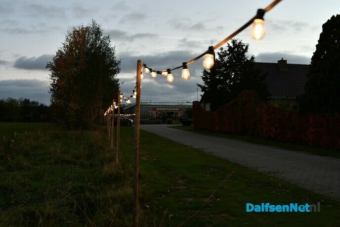 Kerstverlichting in de Kas - Foto: Johan Bokma