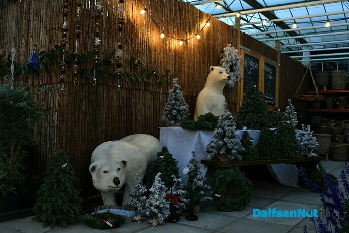 Kerstverlichting in de Kas - Foto: Johan Bokma