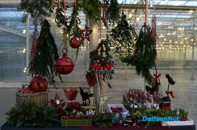 Kerstverlichting in de Kas - Foto: Johan Bokma