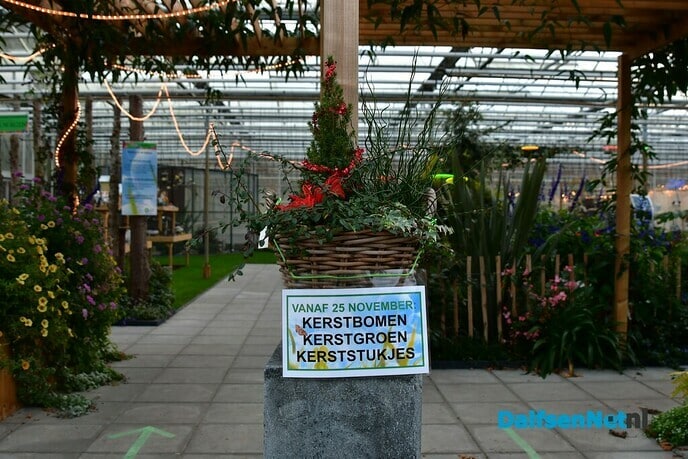 Kwekerij Onderdijk in kerstsfeer - Foto: Johan Bokma