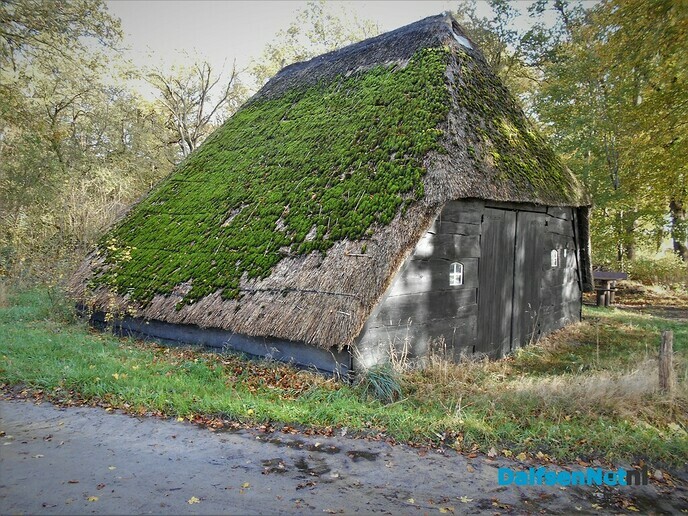 Herfst in het Sterrebos