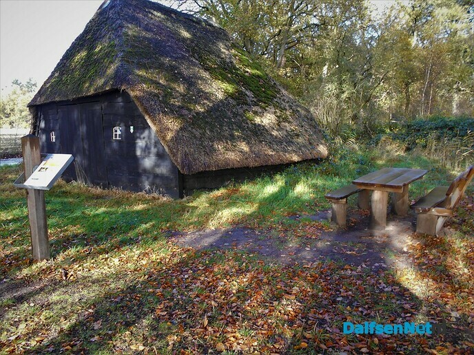 Herfst in het Sterrebos