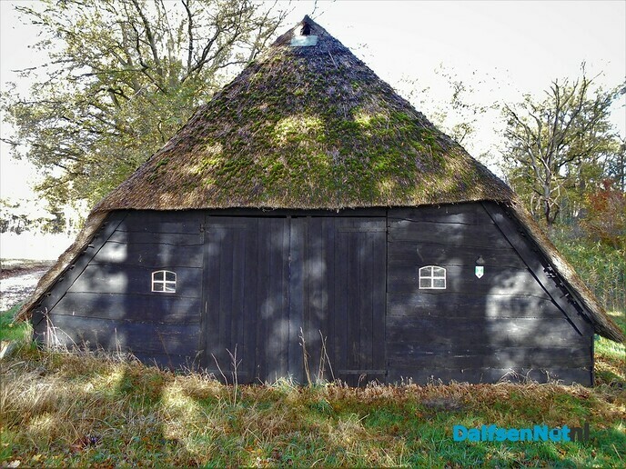 Herfst in het Sterrebos