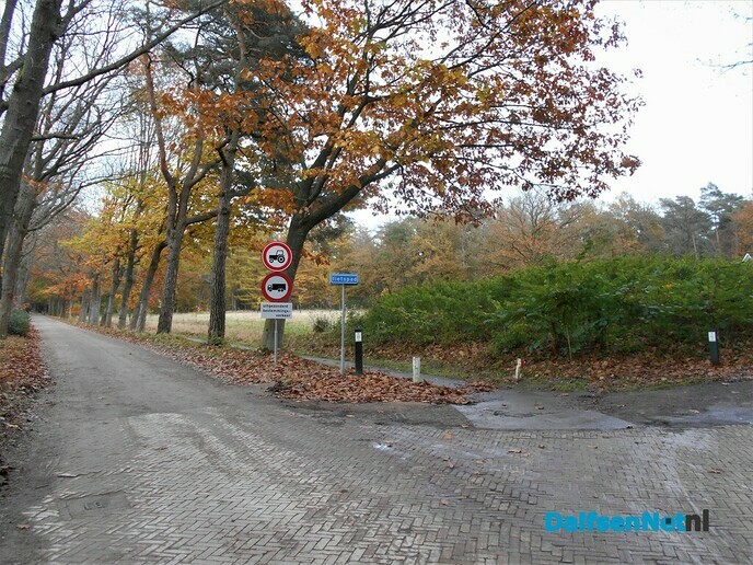 Herfst in het Sterrebos