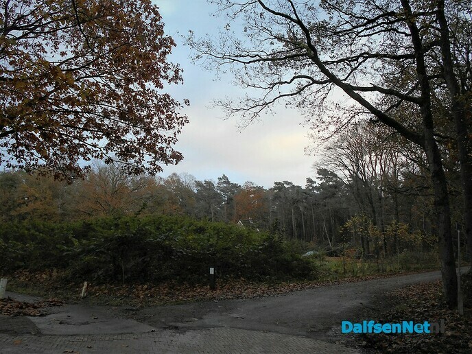 Herfst in het Sterrebos