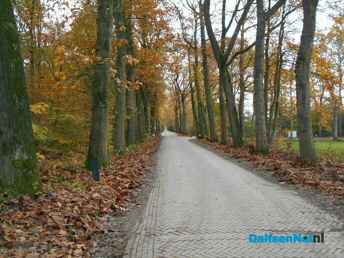 Herfst in het Sterrebos