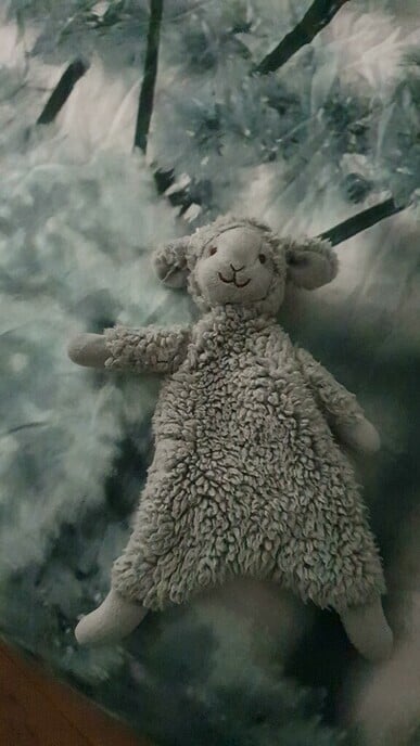 Knuffel verloren