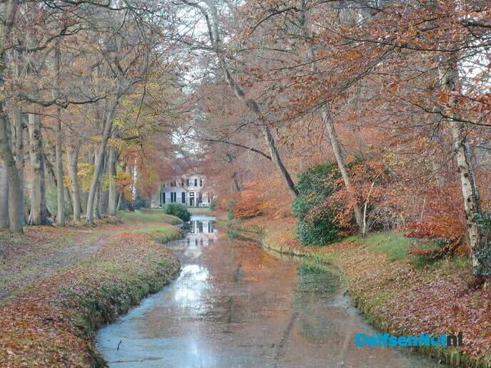 De natuur blijft ons verbazen met haar kleuren - Foto: Wim