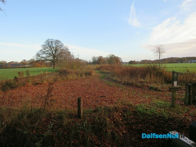 De natuur blijft ons verbazen met haar kleuren - Foto: Wim