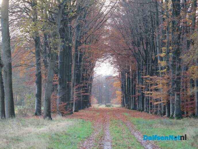 De natuur blijft ons verbazen met haar kleuren - Foto: Wim