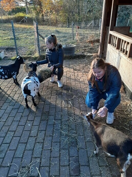 Samenwerking Natuurboerderij Agnieten College - Foto: Ingezonden foto