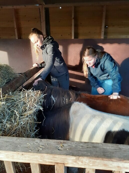 Samenwerking Natuurboerderij Agnieten College - Foto: Ingezonden foto
