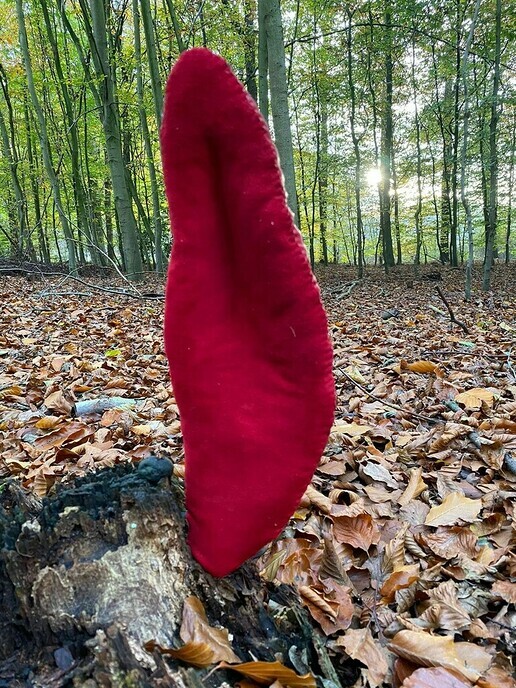 Van ezel naar ezel op landgoed ‘t Rozendael - Foto: Ingezonden foto