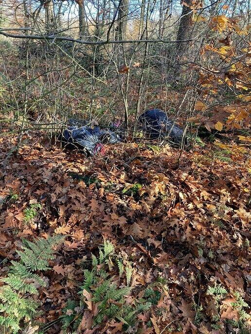 Dump vuilnis in Sterrenbos - Foto: Ingezonden foto