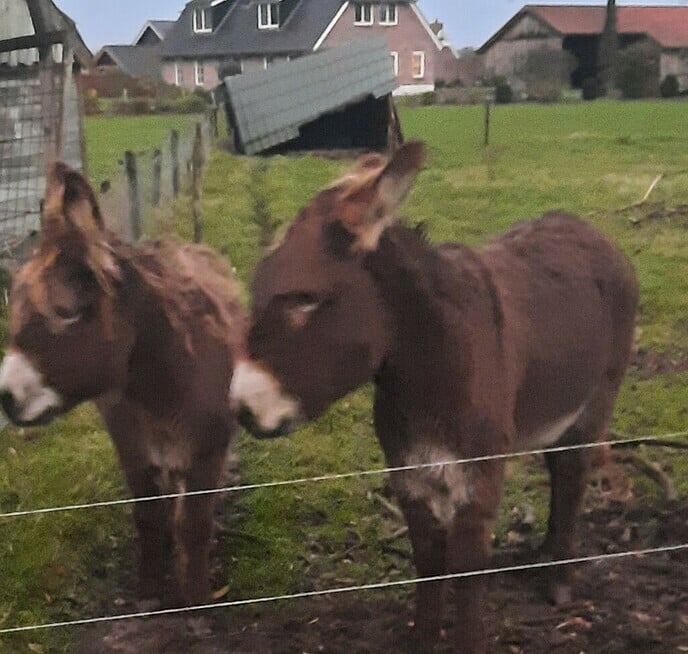 Slopers update - Foto: Gruune Jopie