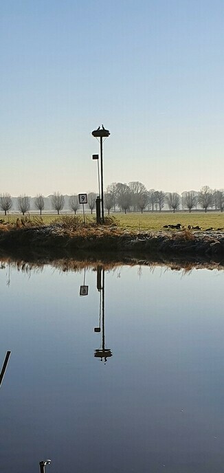 Vriesweer aan de Vecht - Foto: Ingezonden foto