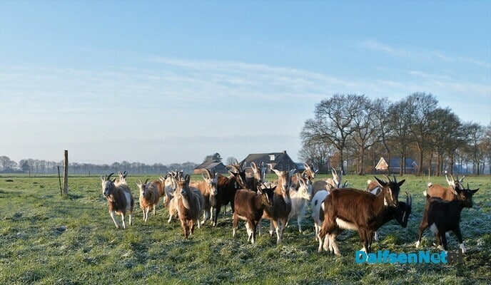 Boerenmarkt Vilsteren in het teken van de kerstsfeer - Foto: Johan Bokma