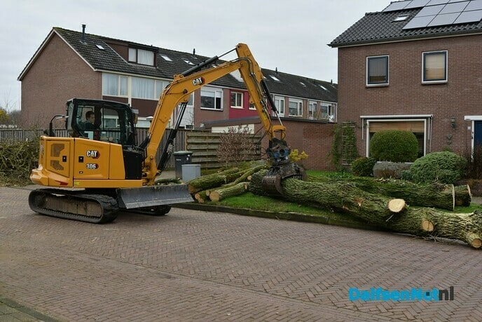 De kap van de Acacia’s aan de van Lentestraat is begonnen - Foto: Johan Bokma