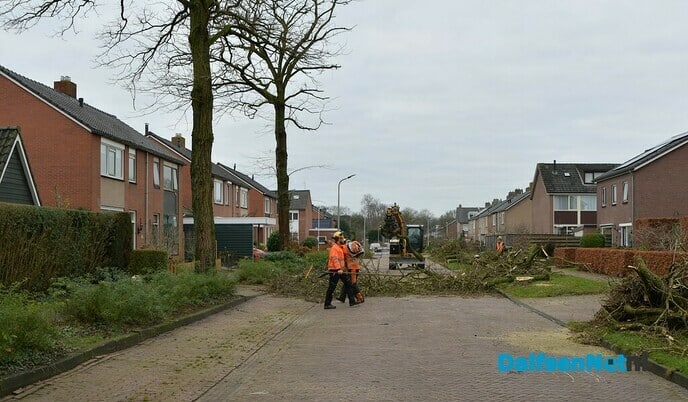 De kap van de Acacia’s aan de van Lentestraat is begonnen - Foto: Johan Bokma