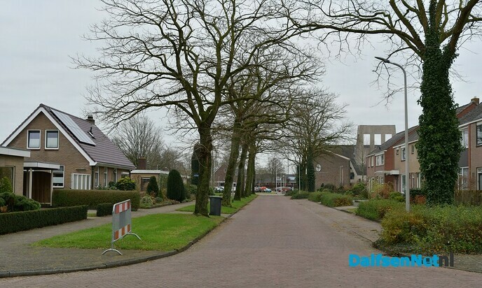 De kap van de Acacia’s aan de van Lentestraat is begonnen - Foto: Johan Bokma