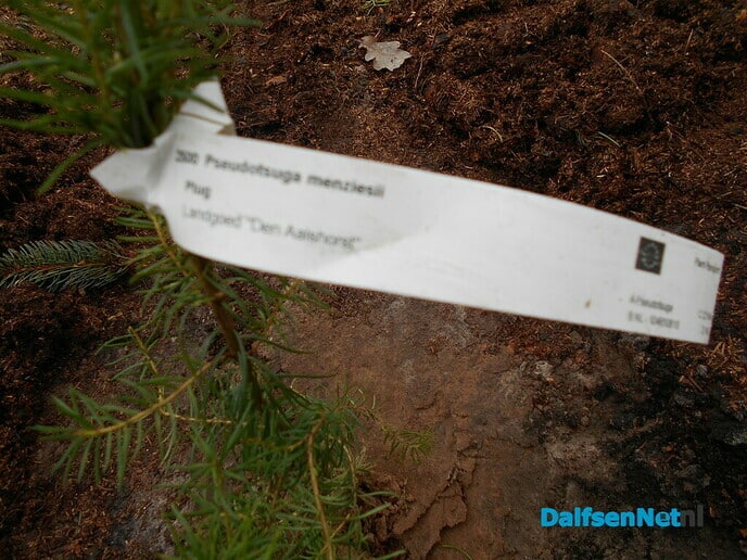 Klimaatbestendig bos al weer deels ingeplant