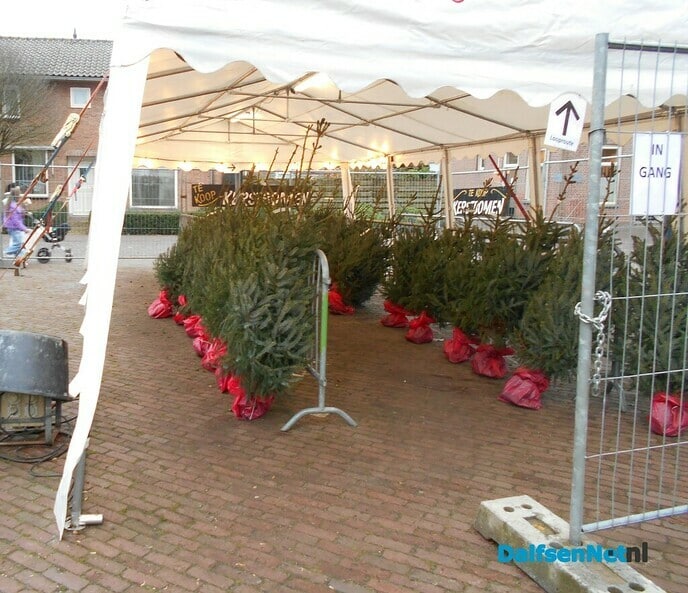 Het gaat goed met de kerstboom verkoop