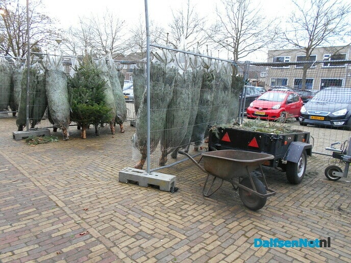 Het gaat goed met de kerstboom verkoop