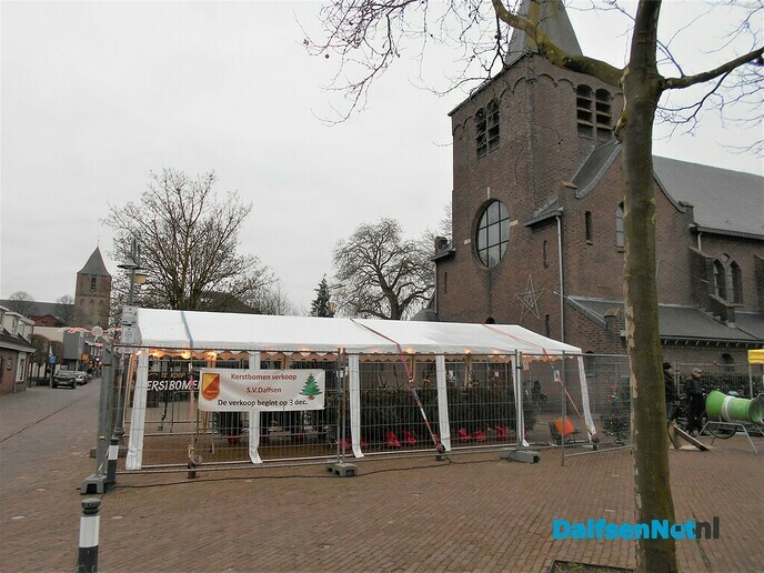 Het gaat goed met de kerstboom verkoop