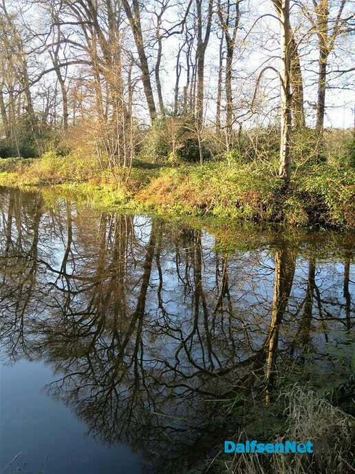 Zonnige plaatjes van en rond Huize Den Berg - Foto: Wim