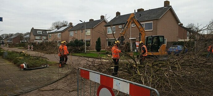 De kap van de Acacia’s aan de van Lentestraat is begonnen - Foto: Eigen geleverde foto