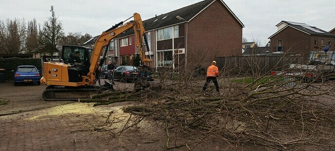 De kap van de Acacia’s aan de van Lentestraat is begonnen - Foto: Eigen geleverde foto