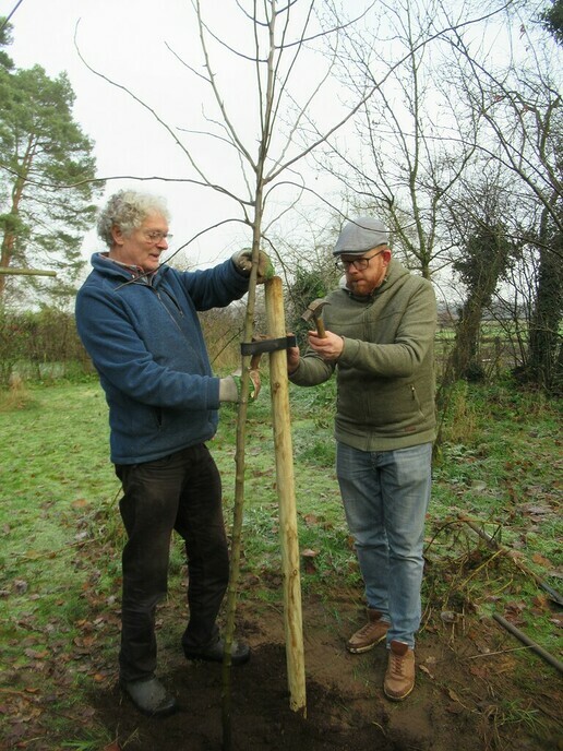 Fruitbomen voor  vertrekkende bestuursleden Groen Gebogen - Foto: Ingezonden foto