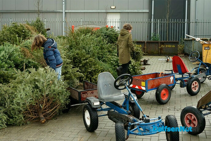 Kerstbomen inleveren door schooljeugd - Foto: Paul Scholten