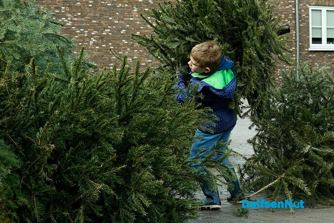 Kerstbomen inleveren door schooljeugd - Foto: Paul Scholten