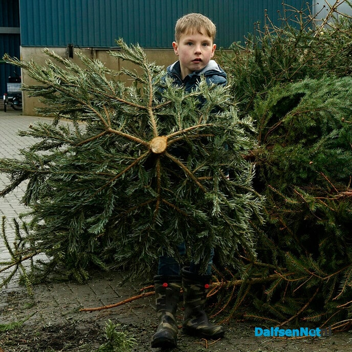 Kerstbomen inleveren door schooljeugd - Foto: Paul Scholten