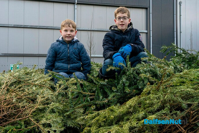 Kerstbomen inleveren door schooljeugd - Foto: Paul Scholten