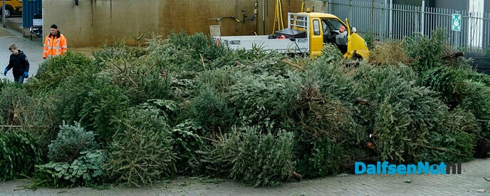 Kerstbomen inleveren door schooljeugd - Foto: Paul Scholten