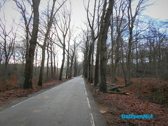 Onderhoud bomen Heinoseweg