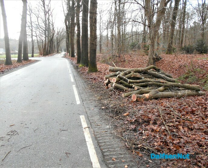 Onderhoud bomen Heinoseweg