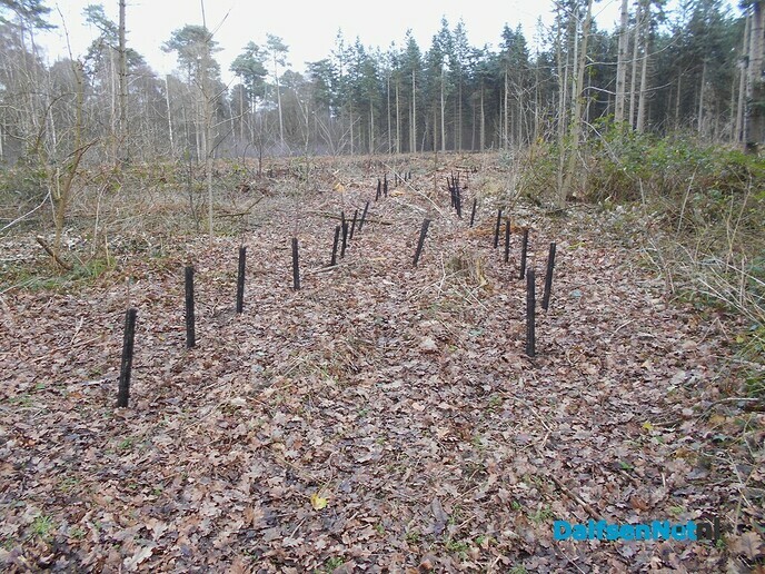 Stukje bos al weer meer aangeplant
