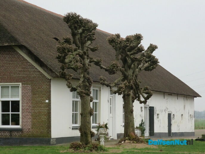 De hof Ierte, Yrte of Irte,  met het hofstelsel vanaf 947 - Foto: Wim
