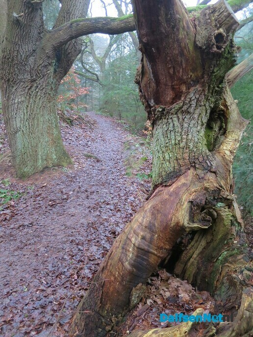 Een wandeling over Landgoed Rechteren en … - Foto: Wim