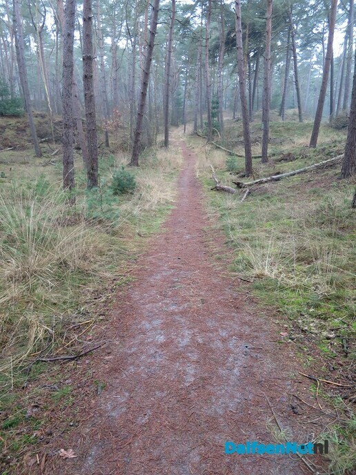 Een wandeling over Landgoed Rechteren en … - Foto: Wim