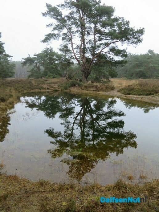 Het wordt nu echt lente.. - Foto: Wim