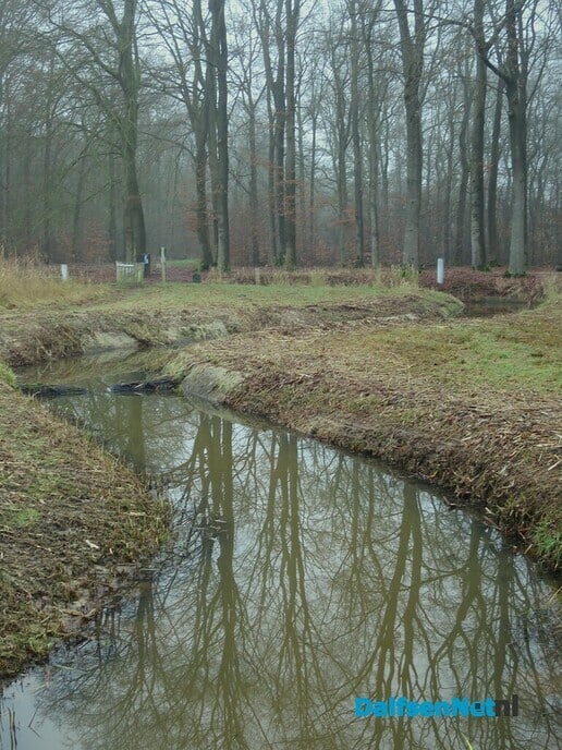Het wordt nu echt lente.. - Foto: Wim