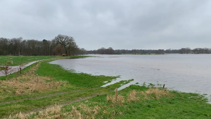 Video Hessum am See - Foto: Ingezonden foto