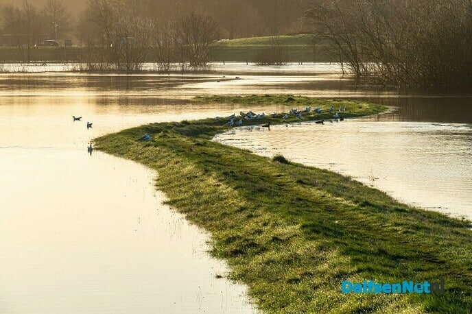 hoog water - Foto: Ingezonden foto