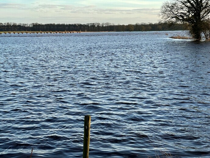 Plaatjes Bellingeweer - Foto: Ingezonden foto