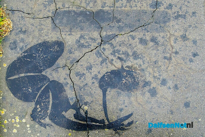 Kunst op straat - Foto: Paul Scholten
