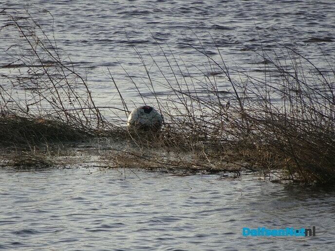 Dalfsen aan het water - Foto: Ingezonden foto